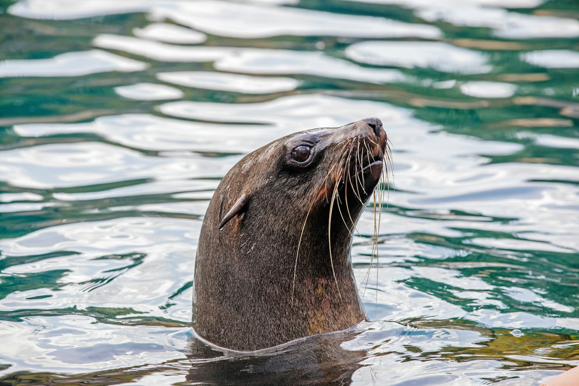 Faunia Nature Park Ticket - image 5
